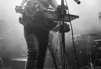 Cellar Darling - Photo By Dänu