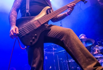 Cellar Darling - Photo By Dänu