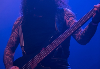 Cellar Darling - Photo By Dänu