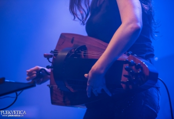 Cellar Darling - Photo By Dänu