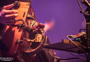 Cellar Darling - Photo By Dänu