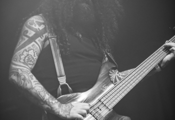 Cellar Darling - Photo By Dänu