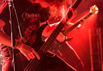 Lotrify - Photo By Dänu