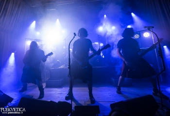 Pertness - Photo By Dänu