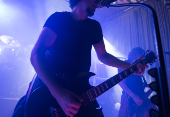 Pertness - Photo By Dänu