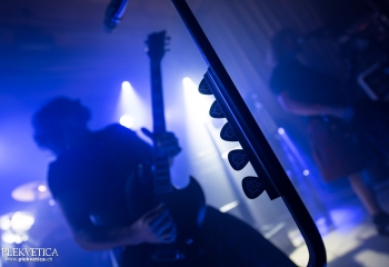 Pertness - Photo By Dänu