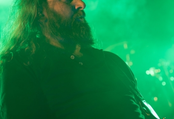 Pertness - Photo By Dänu