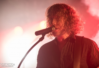 Pertness - Photo By Dänu