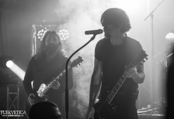 Pertness - Photo By Dänu