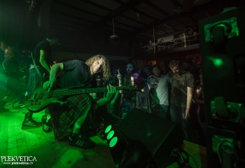 Pertness - Photo By Dänu