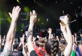 SILVER DUST @ Greenfield - Foto by Dänu