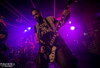 Calico - Photo By Dänu