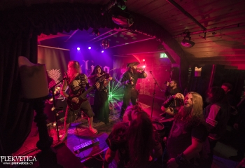 Calico - Photo By Dänu