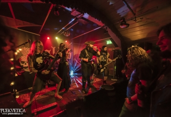 Calico - Photo By Dänu