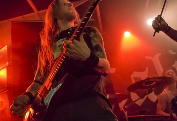 Calico - Photo By Dänu