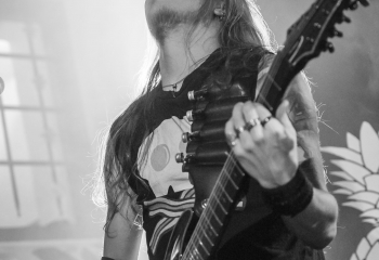 Calico - Photo By Dänu