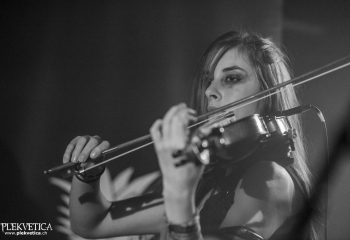 Calico - Photo By Dänu