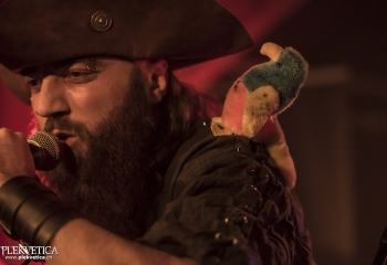 Calico - Photo By Dänu