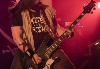 Calico - Photo By Dänu