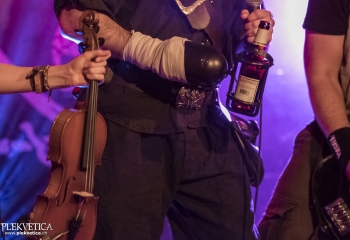 Calico - Photo By Dänu