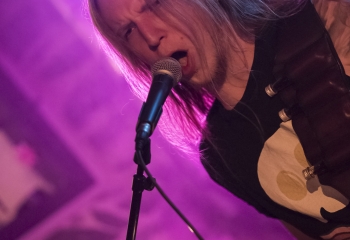 Calico - Photo By Dänu