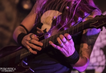 Calico - Photo By Dänu