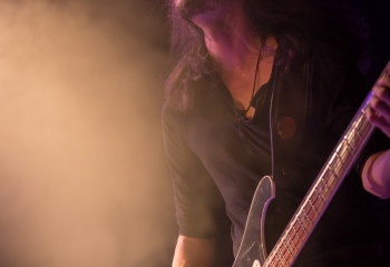 Cellar Darling- Photo By Dänu