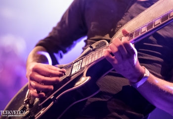 Cellar Darling- Photo By Dänu