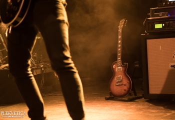 Cellar Darling- Photo By Dänu