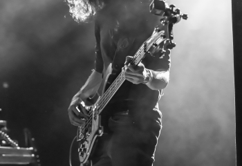 Cellar Darling - Photo By Marc