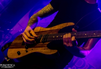 Cellar Darling - Photo By Marc