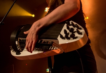 Cellar Darling - Photo By Marc