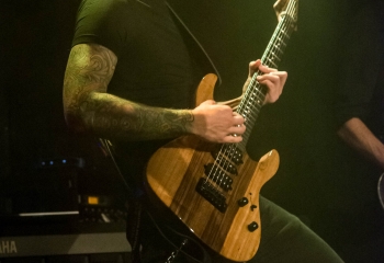 Cellar Darling - Photo By Marc