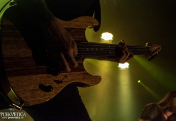 Cellar Darling - Photo By Marc