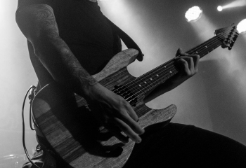 Cellar Darling - Photo By Marc