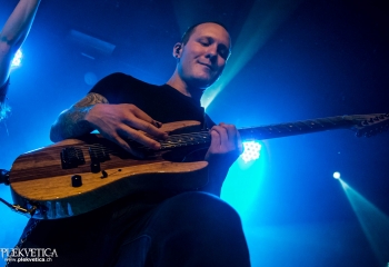 Cellar Darling - Photo By Marc