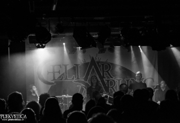 Cellar Darling - Photo By Marc