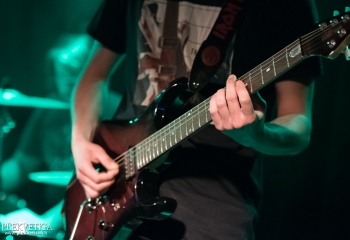 Fashion Roadkill - Photo By Dänu