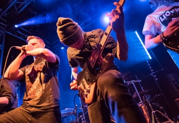 FRANK NEEDS HELP - Photo By Dänu