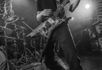 Hedera - Photo By Dänu