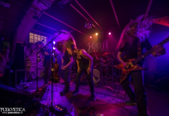 Hedera - Photo By Dänu