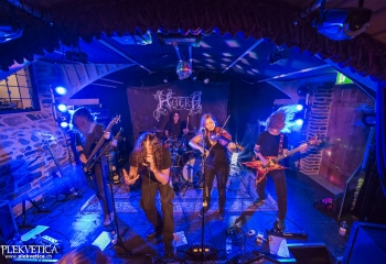 Hedera - Photo By Dänu