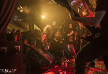 Hedera - Photo By Dänu