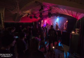 Hedera - Photo By Dänu