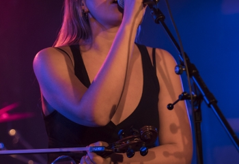 Hedera - Photo By Dänu