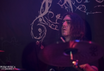 Hedera - Photo By Dänu