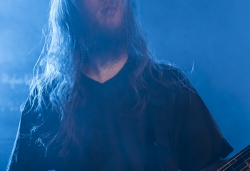 Hedera - Photo By Dänu