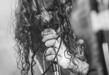 Hedera - Photo By Dänu