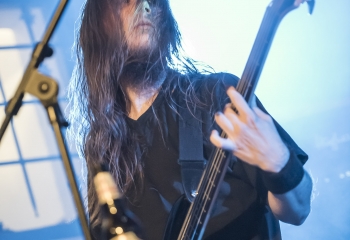 Hedera - Photo By Dänu