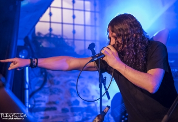 Hedera - Photo By Dänu